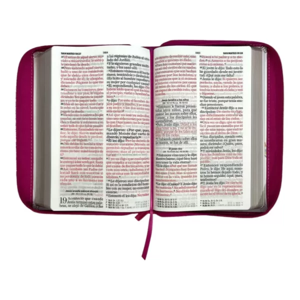 Biblia Reina Valera 1960 Gracia letra gigante flores rosas tamaño manual 14P - Imagen 4