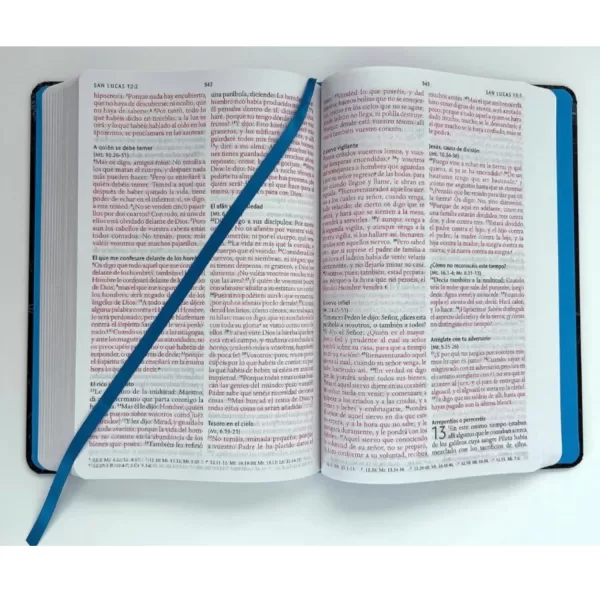 Biblia Reina Valera 1960 león de Judá  aguamarina tapa dura tamaño manual - Imagen 4