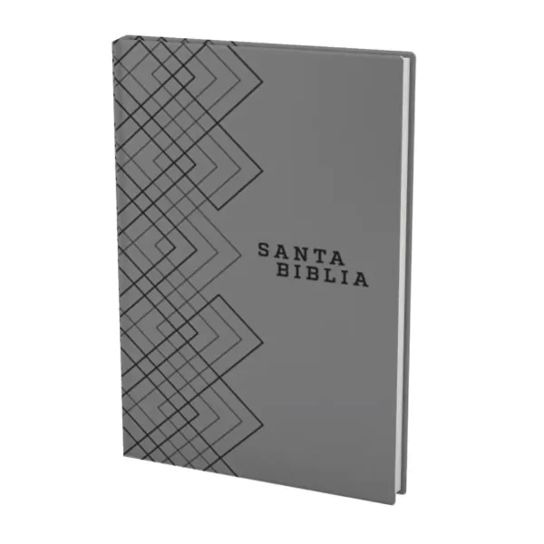 Biblia NTV Edicion agape gris semi piel 7.36P - Imagen 2