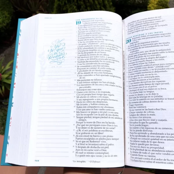 Biblia Nueva Biblia Lenguaje Actual Devocional mujer verdadera aqua tapa dura 8P - Imagen 3