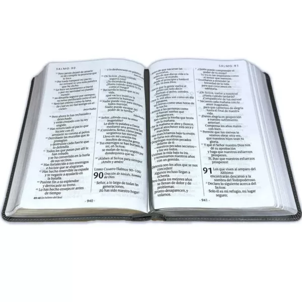 Biblia NTV Edicion manual negro letra grande semi piel 12P - Imagen 3
