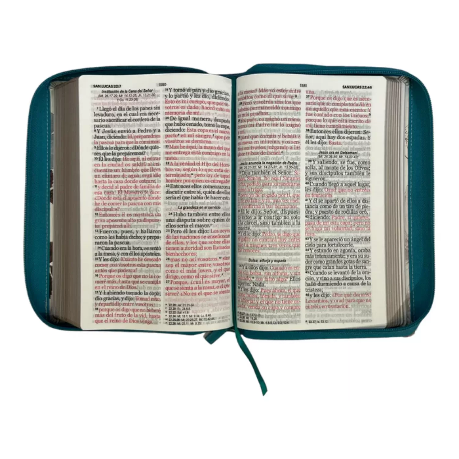 Biblia Reina Valera 1960 Tamaño manual letra gigante 14 puntos imitación piel flores turquesa con cierre - Imagen 6