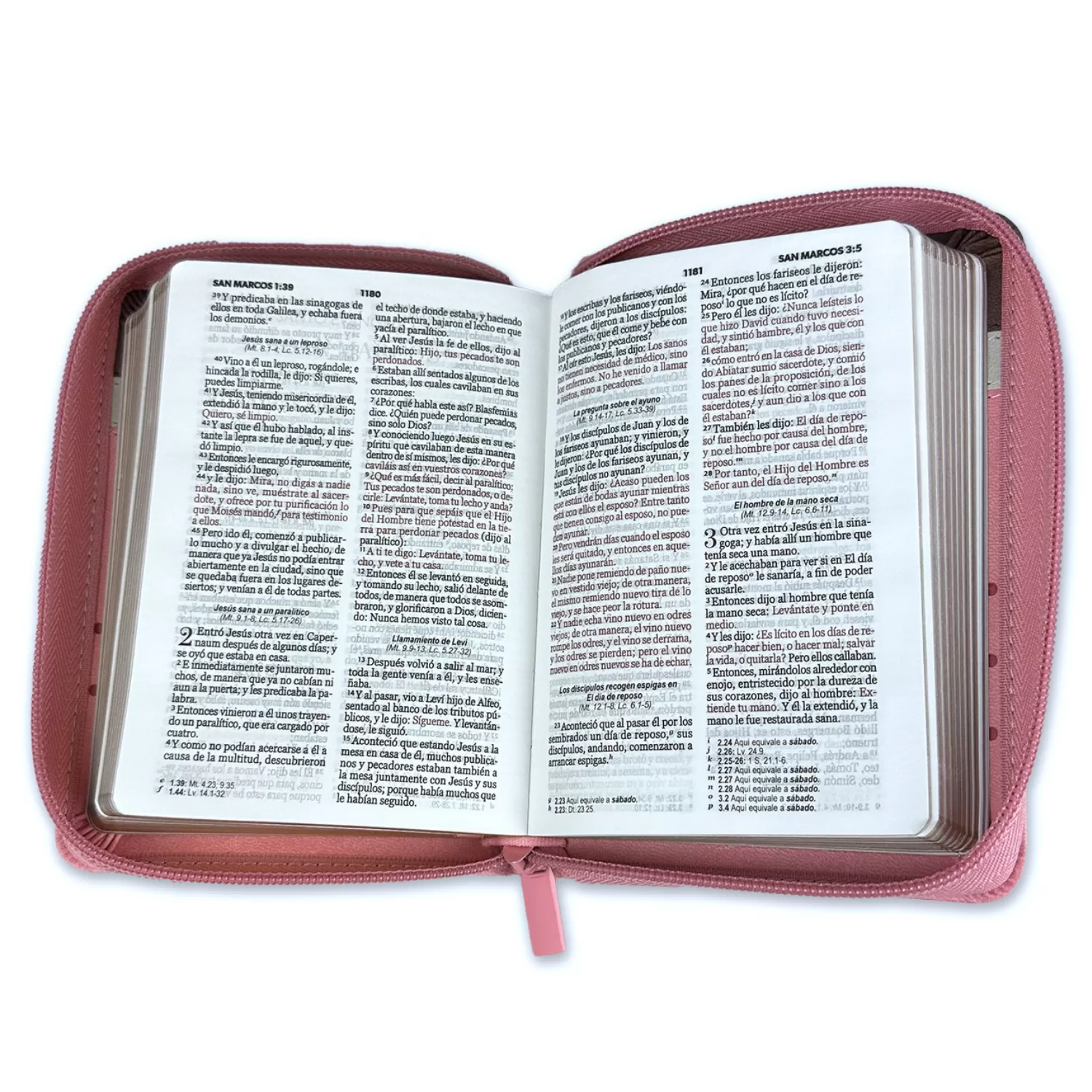 Biblia Reina Valera 1960 Primor Café Beige Rosa Flores Imitación Piel con cierre - Imagen 2