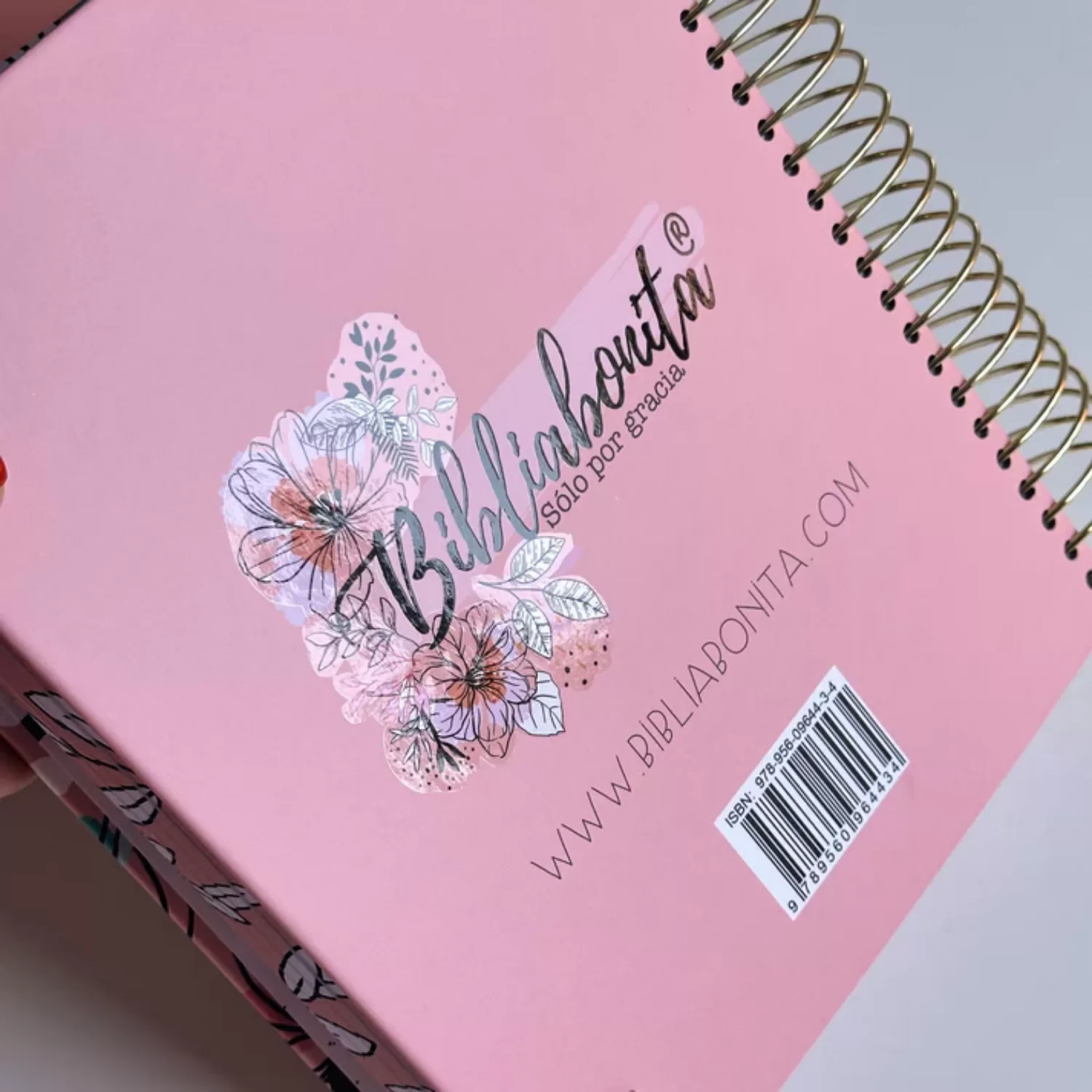 Biblia RVR purificada Biblia bonita - Imagen 6