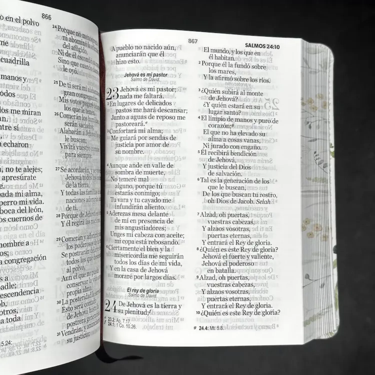 Biblia RVR60 Primaveral marrón imitación piel 11P Letra grande PRJ - Imagen 3