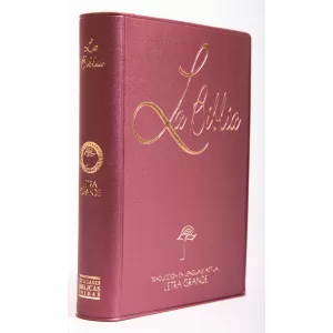 Biblia Traducción Lenguaje Actual - tamaño chico - letra grande vinil vino