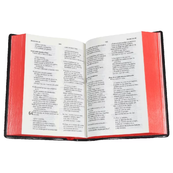 Biblia Traducción Lenguaje Actual - tamaño chico - letra grande vinil vino - Imagen 2