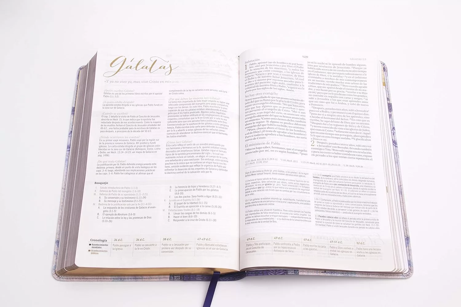 Biblia Reina Valera 1960 de Estudio para Mujeres - Imagen 5