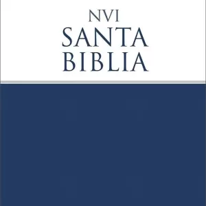 Paquete 5 Biblias NVI rústica